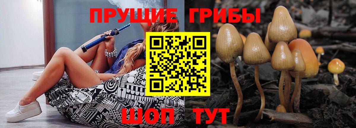 Ачхой-Мартан  даркнет сайт  Вход с VPN  Галлюциногенные грибы MAGIC MUSHROOMS 