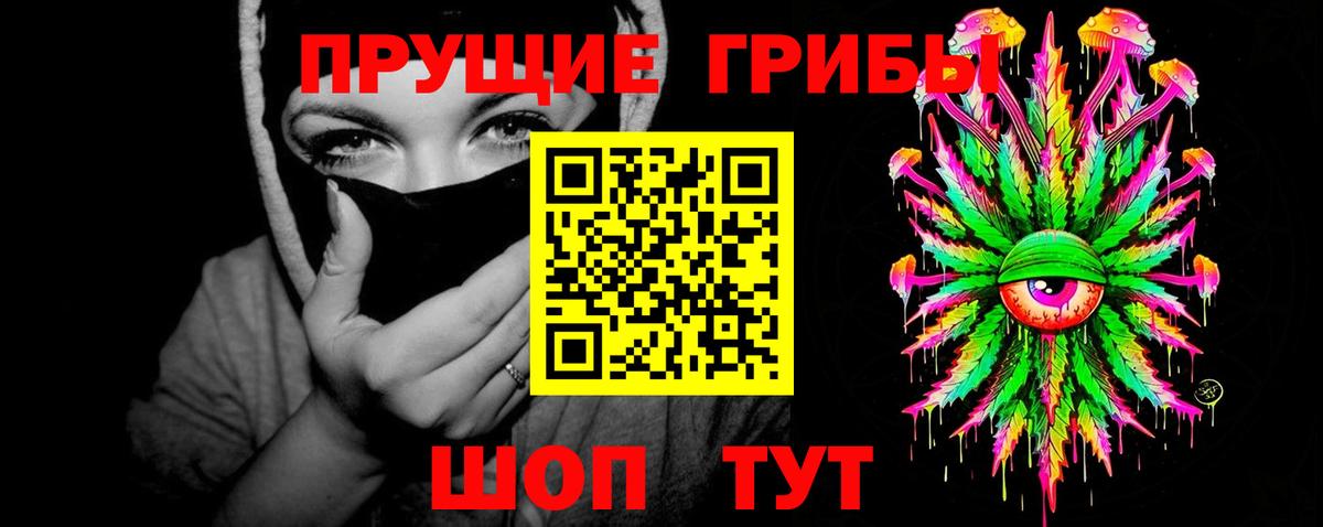 Галлюциногенные грибы Psilocybe  Ачхой-Мартан  дарнет шоп  Псилоцибиновые грибы Psilocybine cubensis 